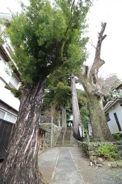 日枝神社(静岡県)