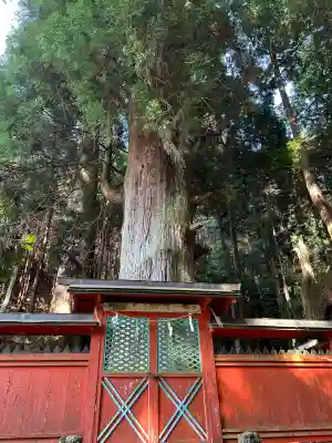 天一神社(奈良県)