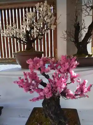 湯島天満宮(東京都)