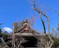 甲斐國一宮 浅間神社のその他建物