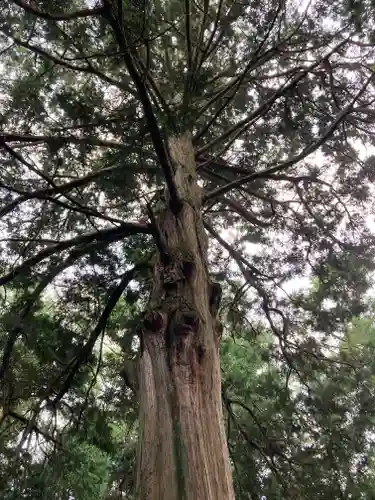 北口本宮冨士浅間神社(山梨県)