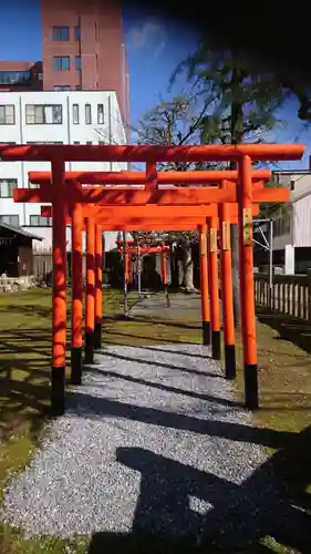 縣神社の鳥居