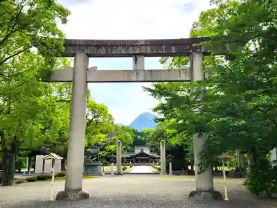 讃岐宮 香川縣護國神社の鳥居