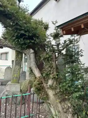 槻井泉神社の{uncategorized: "未分類", other: "その他", undefined: "問題あり", building: "その他建物", grave: "お墓", sacred_gate: "鳥居", guardian: "狛犬", statue: "像", buddha: "仏像", history: "歴史", nature: "自然", garden: "庭園", animal: "動物", pagoda: "塔", temizu: "手水舎", mountain_gate: "山門・神門", sanctuary: "本殿・本堂", subordinate: "末社・摂社", art: "芸術", scenery: "景色", jizo: "地蔵", ema: "絵馬", goshuin: "御朱印", omikuji: "おみくじ", items: "授与品その他", amulet: "お守り", goshuincho: "御朱印帳", eats: "食事", festival: "お祭り", votive_dance: "神楽", shichigosan: "七五三参", wedding: "結婚式", experience: "体験その他", initially: "初詣", around: "周辺", anti_infection: "感染症対策"}