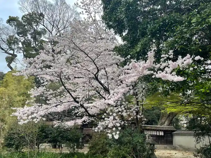 宗像神社の自然