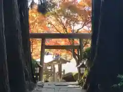 鹿島大神宮の鳥居