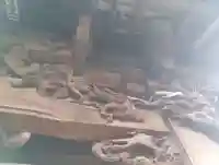 高津諏訪神社(神奈川県)