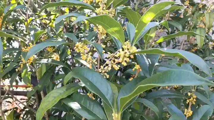 秩父札所十三番 慈眼寺(埼玉県)