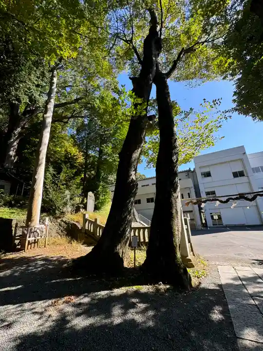手長神社(長野県)