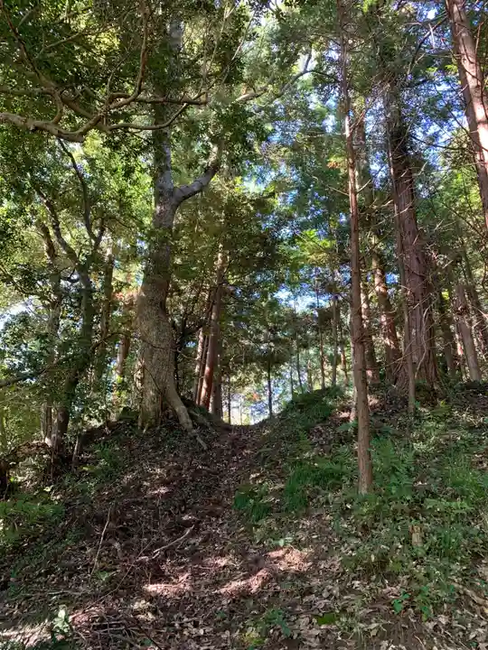 薬師如来の周辺