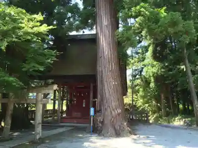 雲八幡宮の御朱印