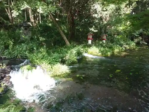 富士山本宮浅間大社の庭園