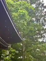 蚊里田八幡宮(長野県)