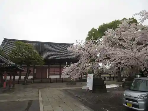 東寺（教王護国寺）の本殿