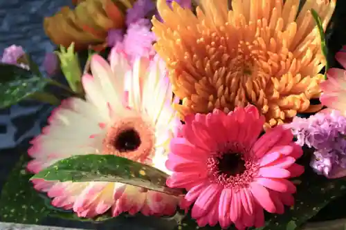 豊景神社の手水舎