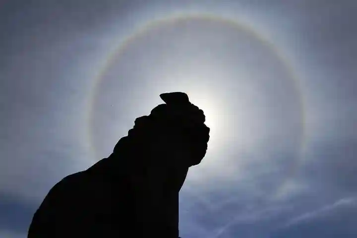 大鏑神社の狛犬