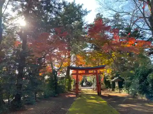 鹿嶋神社の鳥居