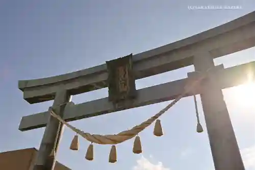 北口本宮冨士浅間神社の鳥居