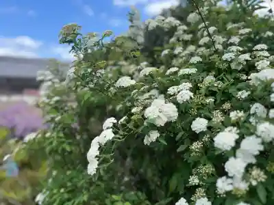 子安地蔵寺(和歌山県)