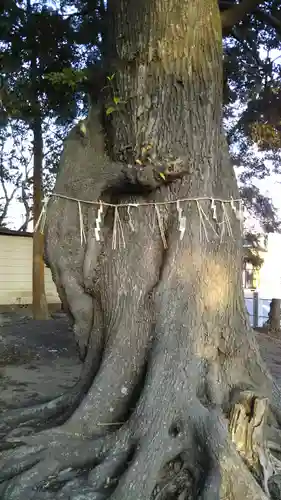 静神社の建物その他