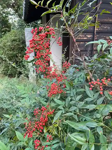 一条山宝蓮寺の景色