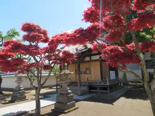 普応寺の建物その他