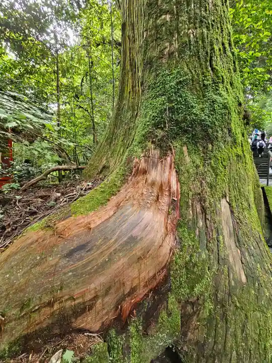 箱根神社(神奈川県)