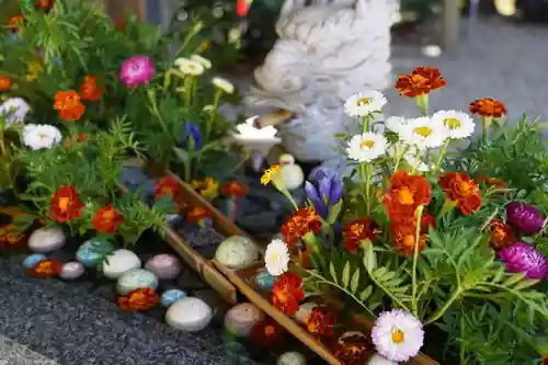 滑川神社 - 仕事と子どもの守り神の手水舎