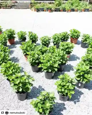 普門寺(切り絵御朱印発祥の寺)のその他建物