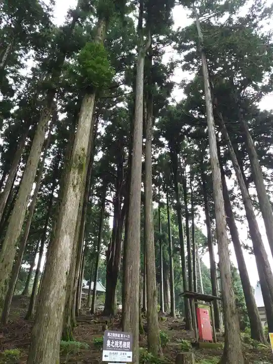 身延山奥之院思親閣の自然