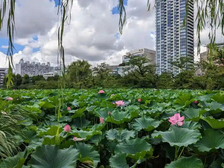 寛永寺不忍池弁天堂(東京都)