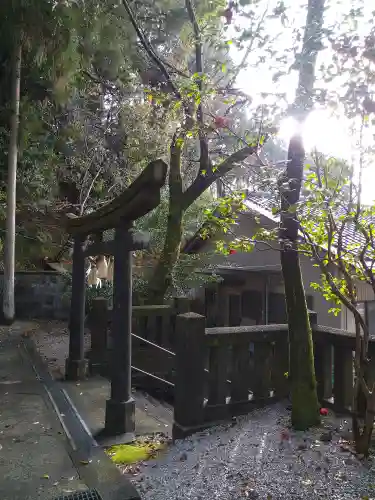 若一王子宮(高知県)