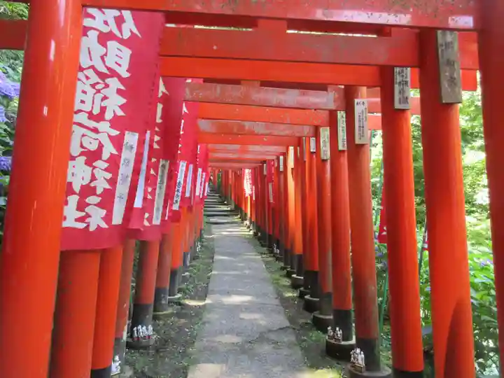 佐助稲荷神社の鳥居