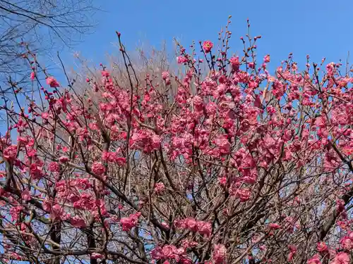 北野神社(東京都)