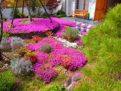 寿量山 速成寺(奈良県)