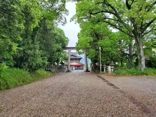 大和神社の鳥居