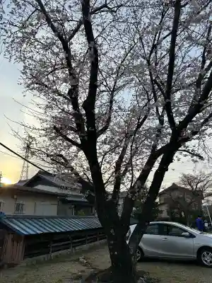 鳥取山田神社の{uncategorized: "未分類", other: "その他", undefined: "問題あり", building: "その他建物", grave: "お墓", sacred_gate: "鳥居", guardian: "狛犬", statue: "像", buddha: "仏像", history: "歴史", nature: "自然", garden: "庭園", animal: "動物", pagoda: "塔", temizu: "手水舎", mountain_gate: "山門・神門", sanctuary: "本殿・本堂", subordinate: "末社・摂社", art: "芸術", scenery: "景色", jizo: "地蔵", ema: "絵馬", goshuin: "御朱印", omikuji: "おみくじ", items: "授与品その他", amulet: "お守り", goshuincho: "御朱印帳", eats: "食事", festival: "お祭り", votive_dance: "神楽", shichigosan: "七五三参", wedding: "結婚式", experience: "体験その他", initially: "初詣", around: "周辺", anti_infection: "感染症対策"}