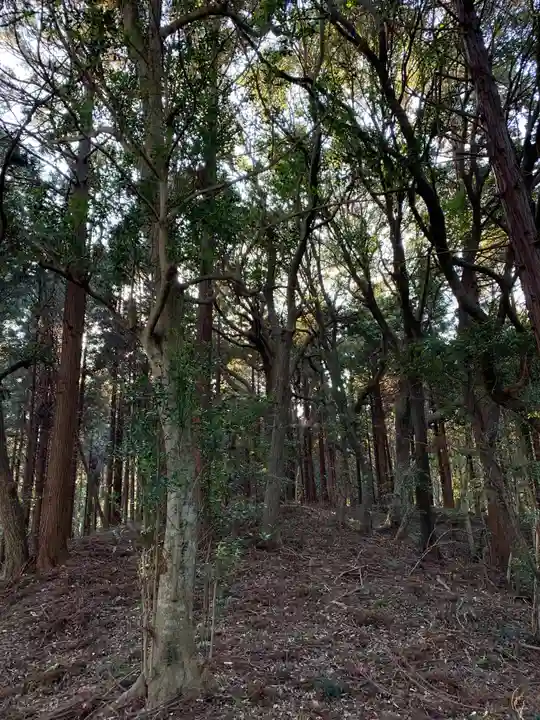 武社早尾神社の自然