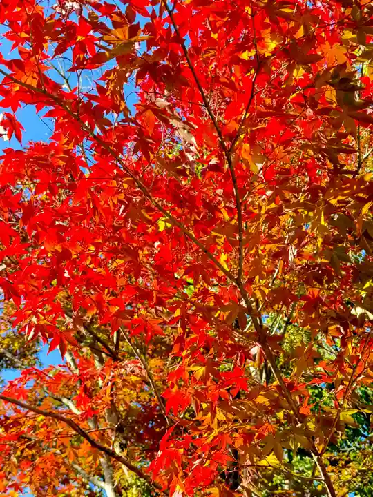 龍田大社(奈良県)