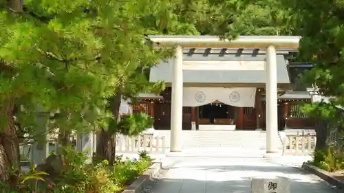 丹後一ノ宮 元伊勢 籠神社(京都府)