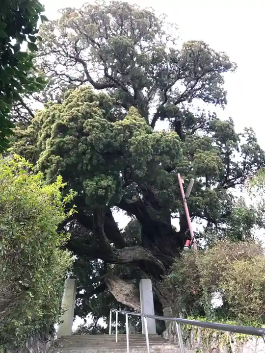 城願寺のその他建物