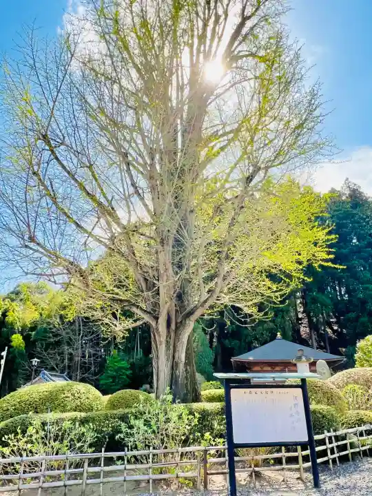 江畔寺の{uncategorized: "未分類", other: "その他", undefined: "問題あり", building: "その他建物", grave: "お墓", sacred_gate: "鳥居", guardian: "狛犬", statue: "像", buddha: "仏像", history: "歴史", nature: "自然", garden: "庭園", animal: "動物", pagoda: "塔", temizu: "手水舎", mountain_gate: "山門・神門", sanctuary: "本殿・本堂", subordinate: "末社・摂社", art: "芸術", scenery: "景色", jizo: "地蔵", ema: "絵馬", goshuin: "御朱印", omikuji: "おみくじ", items: "授与品その他", amulet: "お守り", goshuincho: "御朱印帳", eats: "食事", festival: "お祭り", votive_dance: "神楽", shichigosan: "七五三参", wedding: "結婚式", experience: "体験その他", initially: "初詣", around: "周辺", anti_infection: "感染症対策"}