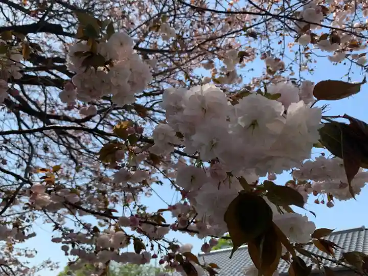 九重神社(埼玉県)