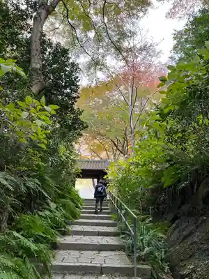瑞泉寺(神奈川県)