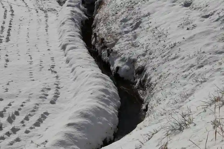 鹿島大神宮の自然