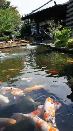 霊山寺(徳島県)