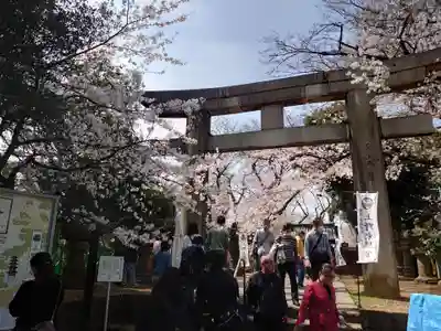 上野東照宮の鳥居
