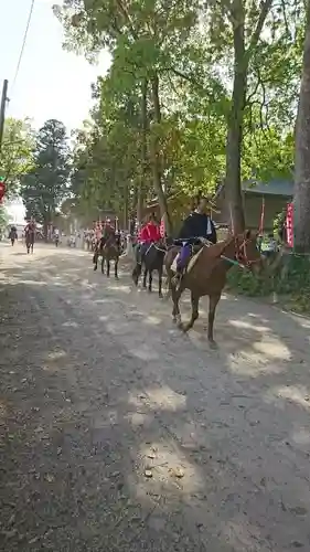 賀茂神社のお祭り