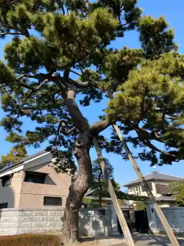 国土安穏寺の{uncategorized: "未分類", other: "その他", undefined: "問題あり", building: "その他建物", grave: "お墓", sacred_gate: "鳥居", guardian: "狛犬", statue: "像", buddha: "仏像", history: "歴史", nature: "自然", garden: "庭園", animal: "動物", pagoda: "塔", temizu: "手水舎", mountain_gate: "山門・神門", sanctuary: "本殿・本堂", subordinate: "末社・摂社", art: "芸術", scenery: "景色", jizo: "地蔵", ema: "絵馬", goshuin: "御朱印", omikuji: "おみくじ", items: "授与品その他", amulet: "お守り", goshuincho: "御朱印帳", eats: "食事", festival: "お祭り", votive_dance: "神楽", shichigosan: "七五三参", wedding: "結婚式", experience: "体験その他", initially: "初詣", around: "周辺", anti_infection: "感染症対策"}