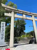 百舌鳥八幡宮の鳥居